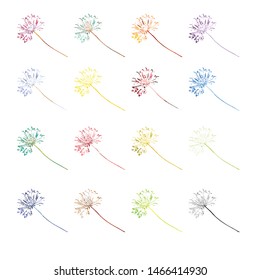 Set of colorful leaves skeleton silhouette. Vector illustration.