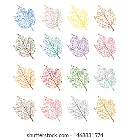 Set of colorful leaves skeleton silhouette. Vector illustration.