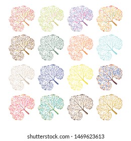 Set of colorful leaves skeleton silhouette. Vector illustration.