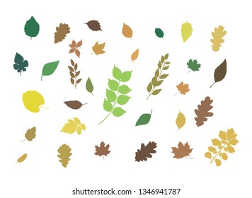 set of colorful leaves of trees