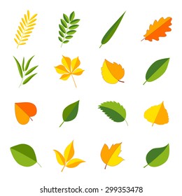 Set of colorful leaves, vector illustration