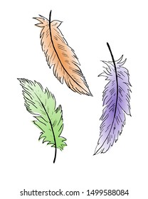 Set colorful macro bird feathers. hand drawn illustration isolated on white background.
