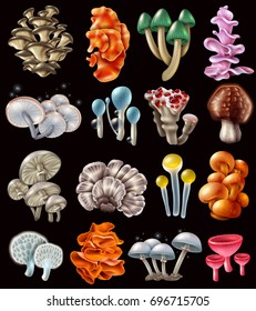 Set of colorful magic mushrooms of various shape causing hallucination on black background isolated vector illustration 