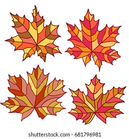 Set of colorful maple leaves