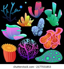 set of colorful marine objects. Bright corals and algae for decoration, needlework, creativity.