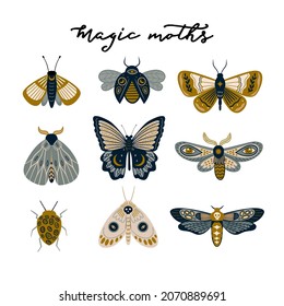 Set of colorful modern magical butterflies and moths