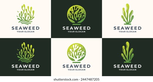 set of colorful modern seaweeds of different variations on a white and dark green background.