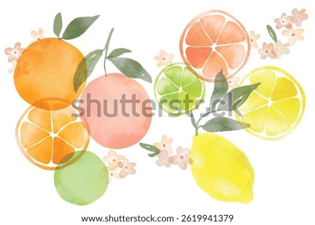 Set of colorful oranges, citrus, tangerine summer fruit. watercolor citrus pattern style. Blooming orange branch with leaves and flowers design.