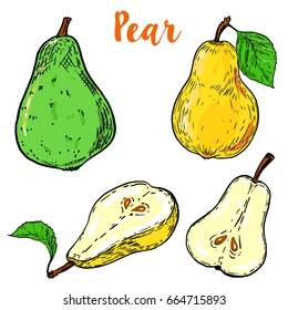 Set of colorful pear illustrations isolated on white background. Vector illustration