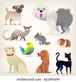 Set of colorful pets. Different species and kinds of breeds of dogs and cats. Isolated vector illustrations