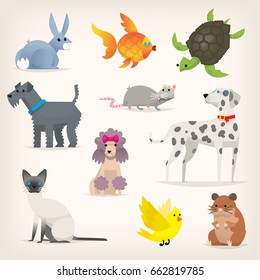 Set of colorful pets. Different species and kinds of breeds of dogs and cats. Isolated vector illustrations