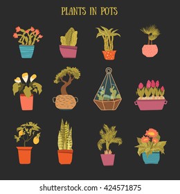 A set of colorful pots of flowers in cartoon style. Cactuses, lemon tree, calla lily, bamboo in pots on dark background. Vector illustration.