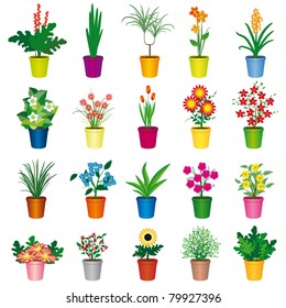 A set of colorful pots of flowers. Vector illustration