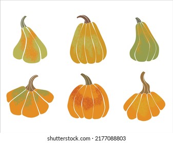 Set with colorful pumpkins on white background for celebration design. Vector illustration design. Vector illustration isolated.