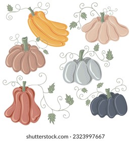 Set of colorful pumpkins. Thanksgiving and Halloween Elements for autumn decorative design, halloween invitation, harvest. Vector illustration