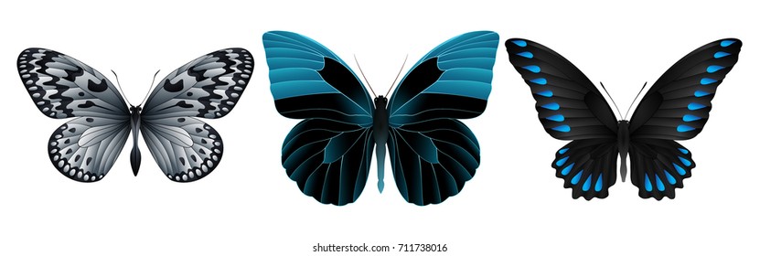 Set of colorful realistic butterflies. Vector 3D illustration