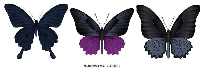 Set of colorful realistic butterflies. Vector 3D illustration