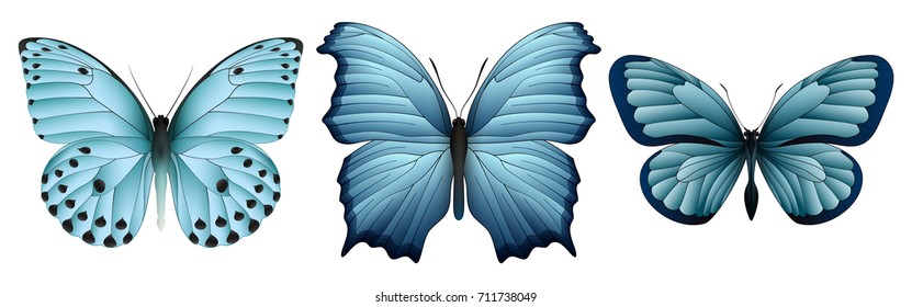 Set of colorful realistic butterflies. Vector 3D illustration