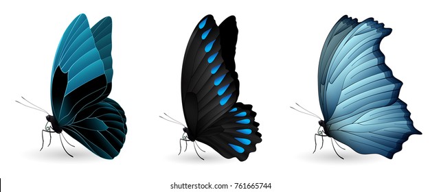 Set of colorful realistic butterflies. Vector 3D illustration