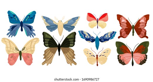 Set of colorful realistic isolated butterflies. Vector illustration