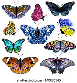 Set of colorful realistic isolated butterflies.Vector illustration