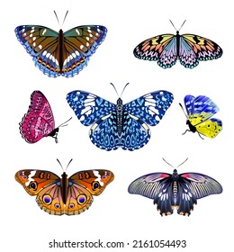 Conjunto de mariposas coloreadas y realistas aisladas.Ilustración vectorial