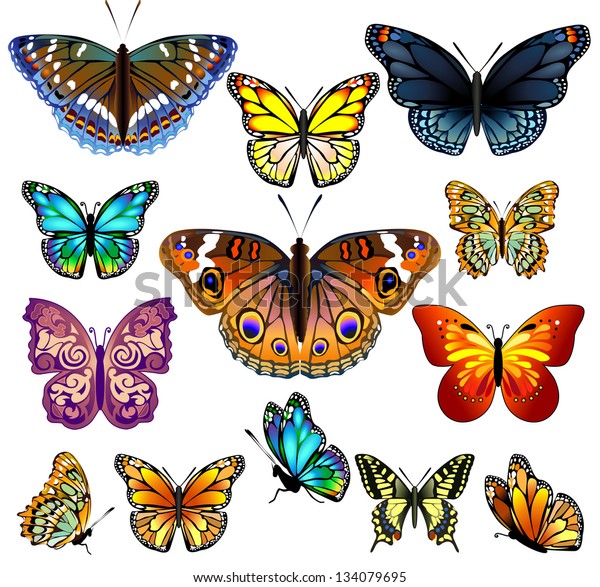 カラフルなリアルな蝶のセット ベクターイラスト のベクター画像素材 ロイヤリティフリー