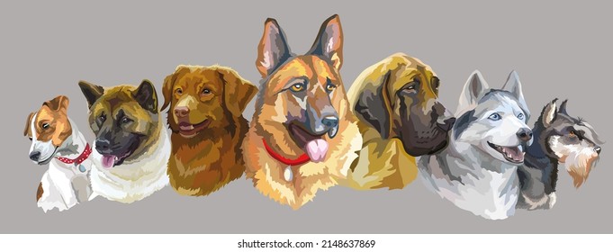 Set of colorful realistic vector portraits of different dogs breeds. Vector isolated illustration. Horizontal banner on gray background. For print, decor, design, cards, stickers, t-shirt, posters