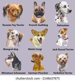 Conjunto de retratos coloridos y realistas vectoriales de razas de perros. Ilustración aislada del vector. Perro de toro francés, corgi, schnauzers, Yorkshire terrier. Impresión, decoración, diseño, tarjetas, pegatinas y camisetas