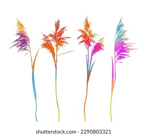 Set of colorful reeds silhouette objects. Vector illustration