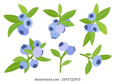 A set of colorful, ripe forest seasonal berries of blueberries. Vector graphics.