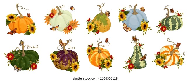 Set of colorful ripe pumpkins, zucchini with sunflower flowers, autumn leaves and butterflies. Cartoon vector graphics.