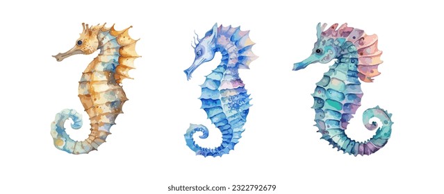 Set of colorful sea horse animal watercolor isolated on white background. Vector illustration