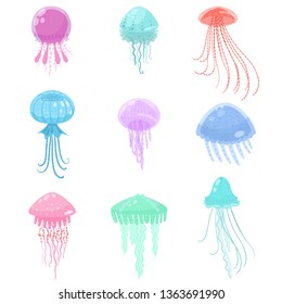 Set of colorful sea and ocean jellyfish marine creature