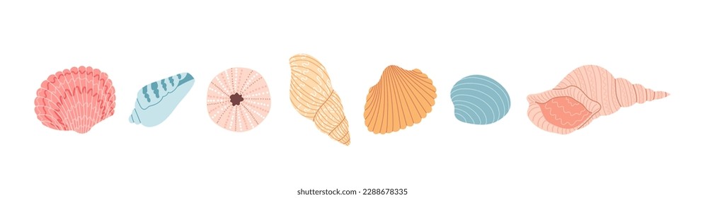 Set of colorful sea shell. Hand drawn vector illustration. Flat cartoon style. Summer vacation collection, tropical beach shells.