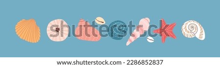 Set of colorful sea shell, starfishe on a blue background. Hand drawn vector illustration. Flat cartoon style. Summer vacation collection, tropical beach shells. [[stock_photo]] © 