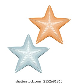 Set of colorful sea stars clipart in flat design