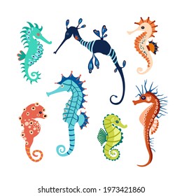 Set colorful seahorses. Pretty seahorses different silhouette on white background. For festive card, logo, children, pattern, tattoo, decorative, creative concept. Cartoon vector illustration