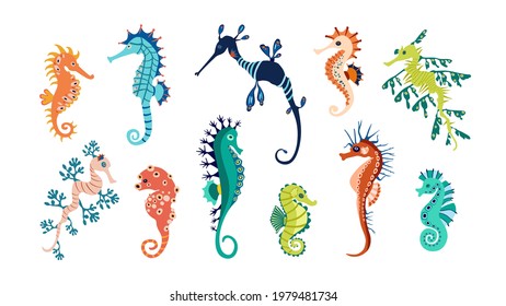 Set colorful seahorses. Pretty seahorses different silhouette on white background. For festive card, logo, children, pattern, tattoo, decorative, creative concept. Cartoon vector illustration