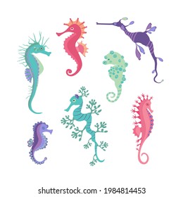 Set colorful seahorses. Pretty seahorses different silhouette on white background. For festive card, logo, children, pattern, tattoo, decorative, creative concept. Cartoon vector illustration