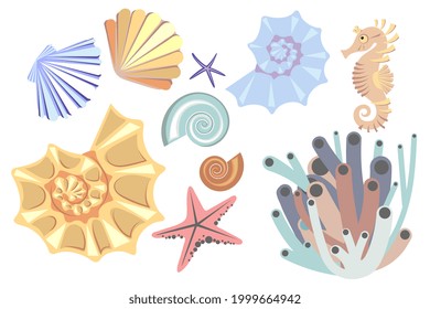 Set of colorful seashell, sea horse, starfish and sponge. Cartoon style. Vector illustration.