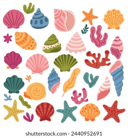 Set of colorful seashells, corals, seaweed and starfish. Vector illustration