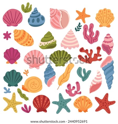 Set of colorful seashells, corals, seaweed and starfish. Vector illustration