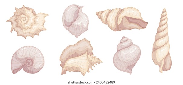 Set of colorful seashells. Vector graphics.