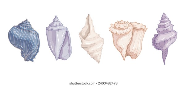 Set of colorful seashells. Vector graphics.