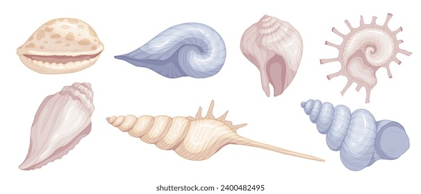 Set of colorful seashells. Vector graphics.