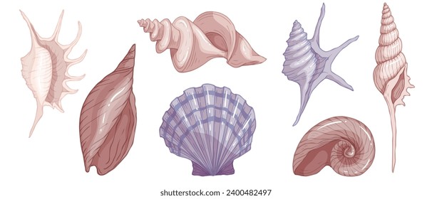 Set of colorful seashells. Vector graphics.