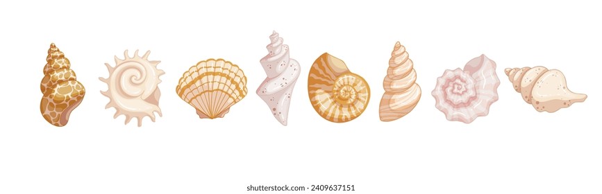 Set of colorful seashells. Vector graphics.