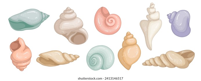 Set of colorful seashells. Vector graphics.	