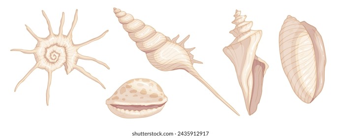 Set of colorful seashells. Vector graphics.